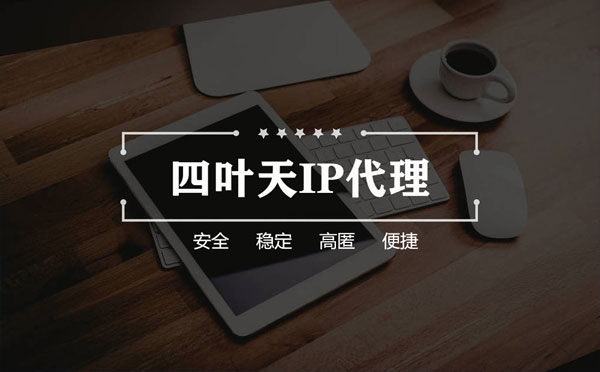 【苍南代理IP】如何快速搭建代理IP？怎么检查代理的效果？